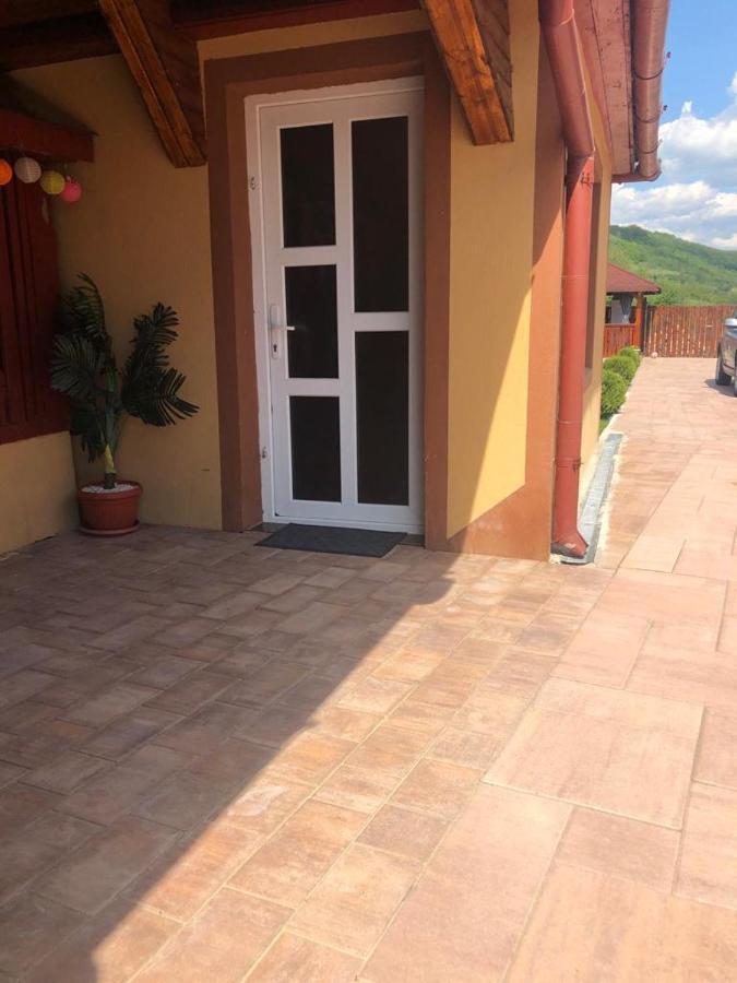 Hotel Casa Alexia à Haţeg Extérieur photo