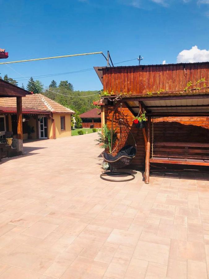 Hotel Casa Alexia à Haţeg Extérieur photo