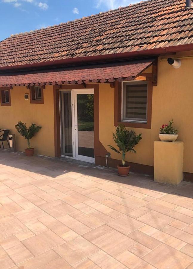 Hotel Casa Alexia à Haţeg Extérieur photo
