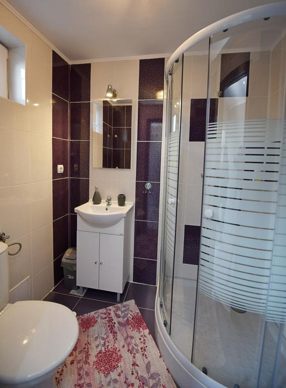 Hotel Casa Alexia à Haţeg Extérieur photo